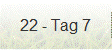 22 - Tag 7